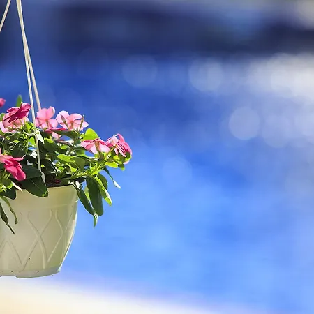 Bed & Breakfast Savana Boutique