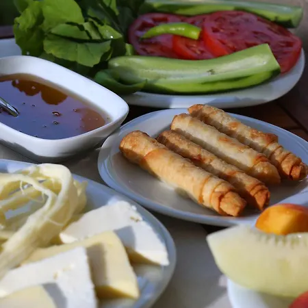 Savana Boutique Bed & Breakfast